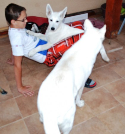 MAREK & AJSZA & AURA